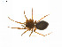  ( - BIOUG14300-E03)  @13 [ ] CreativeCommons - Attribution (2014) G. Blagoev Centre for Biodiversity Genomics