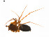  ( - BIOUG14300-E10)  @12 [ ] CreativeCommons - Attribution (2014) G. Blagoev Centre for Biodiversity Genomics