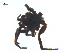  ( - BIOUG25736-A10)  @12 [ ] CreativeCommons - Attribution (2015) G. Blagoev Centre for Biodiversity Genomics
