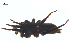  ( - BIOUG25736-B01)  @11 [ ] CreativeCommons - Attribution (2015) G. Blagoev Centre for Biodiversity Genomics