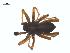  ( - BIOUG25736-B08)  @11 [ ] CreativeCommons - Attribution (2015) G. Blagoev Centre for Biodiversity Genomics