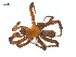  ( - BIOUG25736-C01)  @11 [ ] CreativeCommons - Attribution (2015) G. Blagoev Centre for Biodiversity Genomics