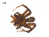  ( - BIOUG25736-C07)  @14 [ ] CreativeCommons - Attribution (2015) G. Blagoev Centre for Biodiversity Genomics