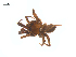  ( - BIOUG25736-C09)  @13 [ ] CreativeCommons - Attribution (2015) G. Blagoev Centre for Biodiversity Genomics
