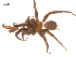  ( - BIOUG25736-C11)  @14 [ ] CreativeCommons - Attribution (2015) G. Blagoev Centre for Biodiversity Genomics