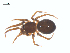  ( - BIOUG25736-D08)  @11 [ ] CreativeCommons - Attribution (2015) G. Blagoev Centre for Biodiversity Genomics