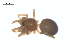  ( - BIOUG25736-D11)  @11 [ ] CreativeCommons - Attribution (2015) G. Blagoev Centre for Biodiversity Genomics