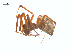  (Pityohyphantes minidoka - BIOUG25736-G11)  @14 [ ] CreativeCommons - Attribution (2015) G. Blagoev Centre for Biodiversity Genomics