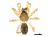  ( - BIOUG27609-A04)  @11 [ ] CreativeCommons - Attribution (2017) CBG Photography Group Centre for Biodiversity Genomics