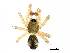  ( - BIOUG27609-A05)  @11 [ ] CreativeCommons - Attribution (2017) CBG Photography Group Centre for Biodiversity Genomics