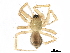  ( - BIOUG27609-A07)  @11 [ ] CreativeCommons - Attribution (2017) CBG Photography Group Centre for Biodiversity Genomics