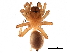  ( - BIOUG27609-C05)  @11 [ ] CreativeCommons - Attribution (2017) CBG Photography Group Centre for Biodiversity Genomics