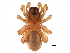  ( - BIOUG27609-C07)  @11 [ ] CreativeCommons - Attribution (2017) CBG Photography Group Centre for Biodiversity Genomics