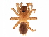  ( - BIOUG27609-D01)  @11 [ ] CreativeCommons - Attribution (2017) CBG Photography Group Centre for Biodiversity Genomics
