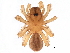  ( - BIOUG27609-D02)  @11 [ ] CreativeCommons - Attribution (2017) CBG Photography Group Centre for Biodiversity Genomics