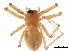  ( - BIOUG32666-C12)  @11 [ ] CreativeCommons - Attribution (2017) CBG Photography Group Centre for Biodiversity Genomics