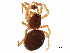  ( - BIOUG32666-D10)  @11 [ ] CreativeCommons - Attribution (2017) CBG Photography Group Centre for Biodiversity Genomics