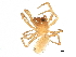  ( - BIOUG32666-G03)  @11 [ ] CreativeCommons - Attribution (2017) CBG Photography Group Centre for Biodiversity Genomics