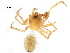  ( - BIOUG32666-G04)  @11 [ ] CreativeCommons - Attribution (2017) CBG Photography Group Centre for Biodiversity Genomics