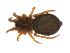  ( - BIOUG47279-B05)  @11 [ ] CreativeCommons - Attribution (2019) G. Blagoev Centre for Biodiversity Genomics