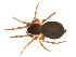  ( - BIOUG47279-B07)  @11 [ ] CreativeCommons - Attribution (2019) G. Blagoev Centre for Biodiversity Genomics