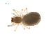  ( - BIOUG47279-G06)  @11 [ ] CreativeCommons - Attribution (2019) G. Blagoev Centre for Biodiversity Genomics