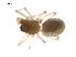  ( - BIOUG47279-G08)  @11 [ ] CreativeCommons - Attribution (2019) G. Blagoev Centre for Biodiversity Genomics