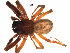  ( - BIOUG51612-B08)  @11 [ ] CreativeCommons - Attribution (2021) Unspecified Centre for Biodiversity Genomics