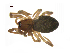  ( - BIOUG90619-C08)  @11 [ ] CreativeCommons - Attribution Non-Commercial Share-Alike (2022) Centre for Biodiversity Genomics Centre for Biodiversity Genomics