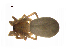  ( - BIOUG90619-C10)  @11 [ ] CreativeCommons - Attribution Non-Commercial Share-Alike (2022) Centre for Biodiversity Genomics Centre for Biodiversity Genomics