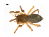  ( - BIOUG90619-C11)  @11 [ ] CreativeCommons - Attribution Non-Commercial Share-Alike (2022) Centre for Biodiversity Genomics Centre for Biodiversity Genomics