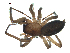  ( - BIOUG07163-A12)  @12 [ ] CreativeCommons - Attribution (2013) G. Blagoev Centre for Biodiversity Genomics