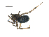  ( - BIOUG07164-A06)  @12 [ ] CreativeCommons - Attribution (2013) G. Blagoev Centre for Biodiversity Genomics