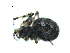  (Theridion rabuni - BIOUG07164-B02)  @12 [ ] CreativeCommons - Attribution (2013) G. Blagoev Centre for Biodiversity Genomics