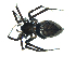  (Euryopis formosa - BIOUG07164-B08)  @14 [ ] CreativeCommons - Attribution (2013) G. Blagoev Centre for Biodiversity Genomics