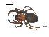  ( - BIOUG07164-C06)  @14 [ ] CreativeCommons - Attribution (2013) G. Blagoev Centre for Biodiversity Genomics