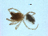  ( - BIOUG07164-H06)  @11 [ ] CreativeCommons - Attribution (2013) G. Blagoev Centre for Biodiversity Genomics