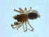  ( - BIOUG07164-H11)  @11 [ ] CreativeCommons - Attribution (2013) G. Blagoev Centre for Biodiversity Genomics