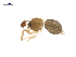  ( - CCDB-29007-G01)  @11 [ ] CreativeCommons - Attribution (2015) G. Blagoev Centre for Biodiversity Genomics