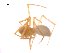  ( - CCDB-28546-A01)  @12 [ ] CreativeCommons - Attribution (2015) G. Blagoev Centre for Biodiversity Genomics