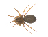  ( - CCDB-28546-C04)  @11 [ ] CreativeCommons - Attribution (2015) G. Blagoev Centre for Biodiversity Genomics