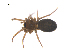  ( - CCDB-28546-C05)  @11 [ ] CreativeCommons - Attribution (2015) G. Blagoev Centre for Biodiversity Genomics