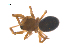  ( - CCDB-28546-C08)  @11 [ ] CreativeCommons - Attribution (2015) G. Blagoev Centre for Biodiversity Genomics