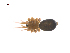  ( - CCDB-28546-C10)  @11 [ ] CreativeCommons - Attribution (2015) G. Blagoev Centre for Biodiversity Genomics