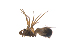  ( - CCDB-28546-H02)  @11 [ ] CreativeCommons - Attribution (2015) G. Blagoev Centre for Biodiversity Genomics