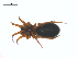  ( - CCDB-28549-D10)  @14 [ ] CreativeCommons - Attribution (2015) G. Blagoev Centre for Biodiversity Genomics