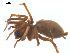  ( - CCDB-28550-D11)  @14 [ ] CreativeCommons - Attribution (2015) G. Blagoev Centre for Biodiversity Genomics