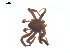  ( - CCDB-28550-E08)  @11 [ ] CreativeCommons - Attribution (2015) G. Blagoev Centre for Biodiversity Genomics