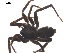  ( - CCDB-28550-G01)  @11 [ ] CreativeCommons - Attribution (2015) G. Blagoev Centre for Biodiversity Genomics