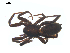 ( - CCDB-28550-G06)  @14 [ ] CreativeCommons - Attribution (2015) G. Blagoev Centre for Biodiversity Genomics